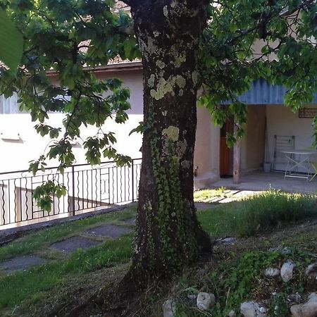 Апартаменты Cote Jardin Сен-Жан-ан-Руаян Экстерьер фото