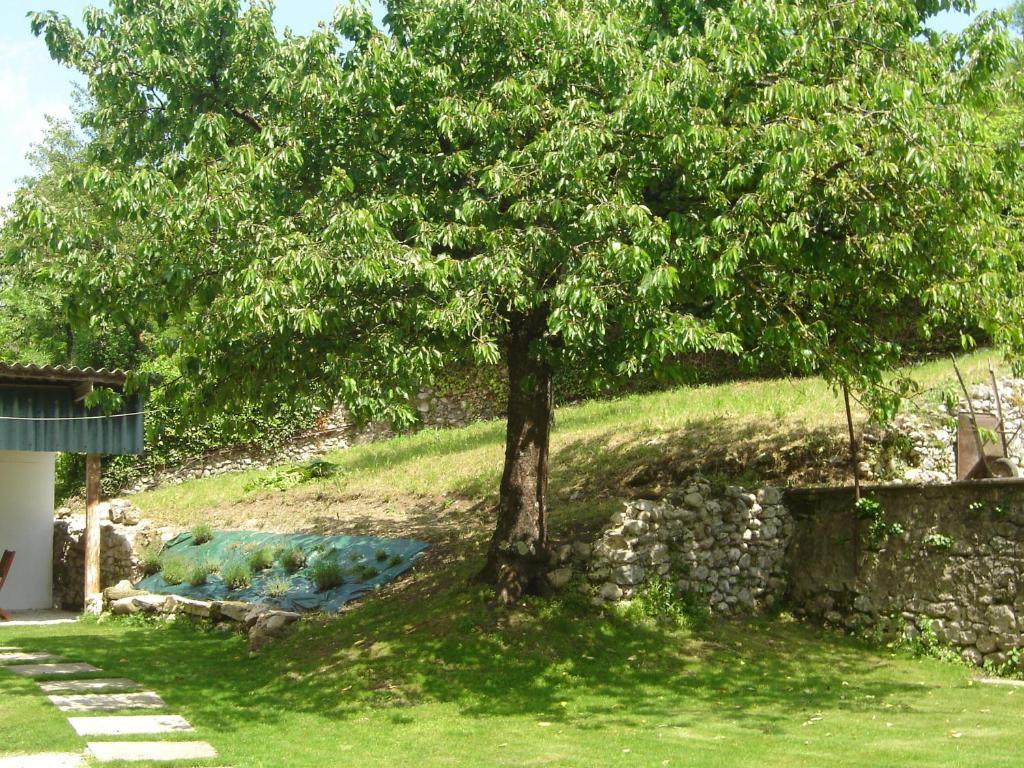 Апартаменты Cote Jardin Сен-Жан-ан-Руаян Экстерьер фото